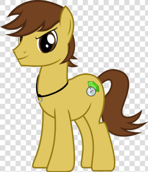 Mlp Male Earth Pony  HD Png Download