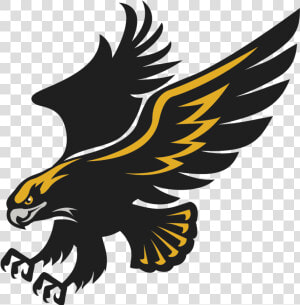 Transparent Eagle Claws Clipart   Waltham High School Hawks  HD Png Download