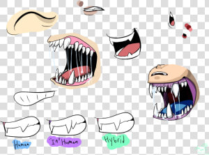 Drawing Teeth Creepy   Types Of Teeth Drawings  HD Png Download