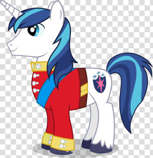 Armor Clipart Suit Armor   My Little Pony Princess Shining Armor  HD Png Download