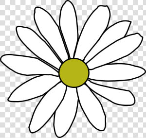 Daisy Vector   Chardonnay Feudi San Gregorio  HD Png Download