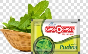 Gaso Fast Pudina   Gasofast  HD Png Download