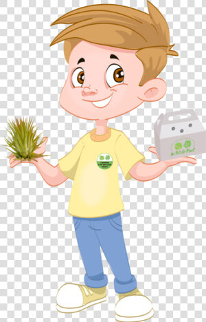 Transparent Plant Life Cycle Clipart  HD Png Download