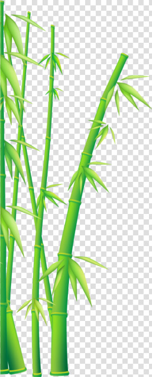 Bamboo Vector Clipart   Png Download   Kung Fu Panda Bamboo  Transparent Png