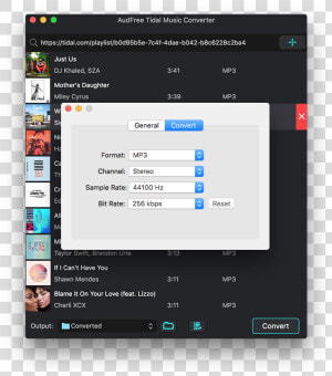 Set Tidal Output Format For Imovie   Audfree Tidal Music Converter  HD Png Download