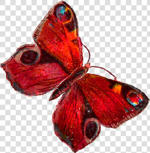 Red Butterfly Png Pic   Red Butterfly Illustration Png  Transparent Png