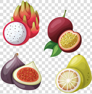 Fruits Clipart Tropical Fruit   Passion Fruit Free Clipart  HD Png Download