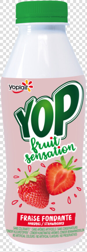 Yop Food  HD Png Download