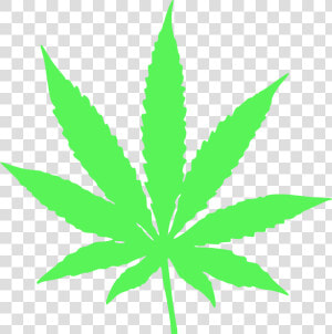 Marijuana Leaf Clipart   Transparent Background Pot Leaf Png  Png Download