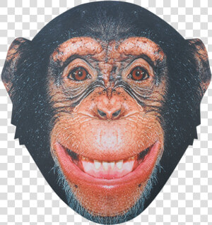 Chimp Face Png  Transparent Png