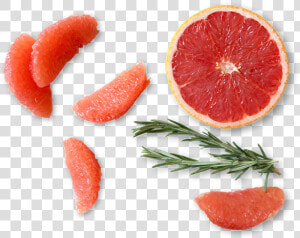 Transparent Grapefruit Png   Grapefruit  Png Download