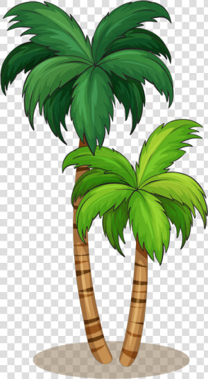 Arecaceae Royalty free Illustration   Coconut Tree Vector Png  Transparent Png