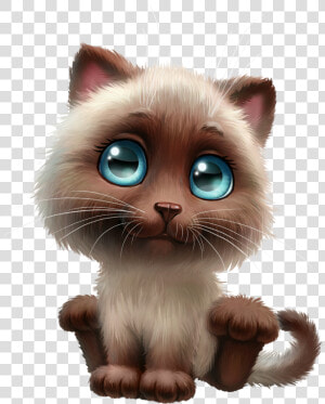 Fea C Orig   Siamese Cat Clipart Png  Transparent Png