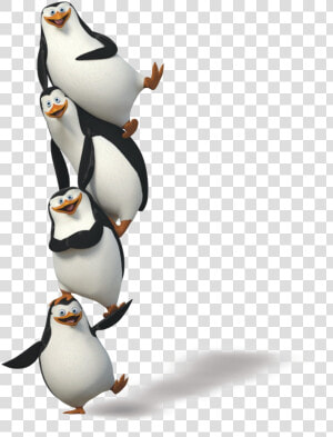 Grab And Download Madagascar Penguins Icon Clipart   Pinguim Madagascar Png  Transparent Png