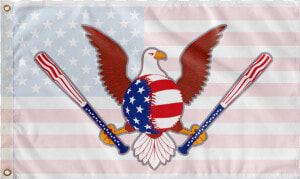 American Legion 283 Eagle Class Lazyload Lazyload   Macaw  HD Png Download