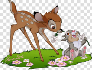 Transparent Thumper Png   Transparent Bambi And Thumper  Png Download