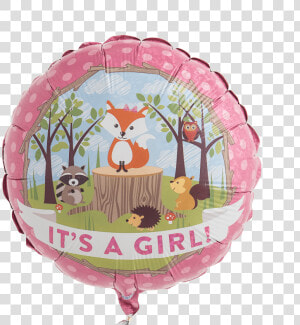 Woodland Critters Baby Girl   Its A Boy Woodland Creatures  HD Png Download