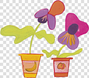 Transparent Pansies Png  Png Download