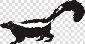 Skunk Clipart Transparent   Transparent Skunk Clipart  HD Png Download