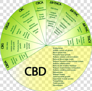 Full Spectrum Cbd Benefits  HD Png Download