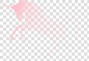 Pink Religion Invisibility Unicorn Invisible Parody   Stallion  HD Png Download