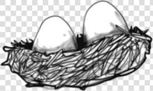 Bird S Nest   Bird Eggs Clipart Black And White  HD Png Download