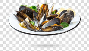 Whale Cove Mussels   White Wine And Seafood  HD Png Download