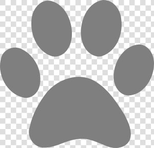 Tiger Dog Cat Lion Paw   Grey Cat Paw Print  HD Png Download