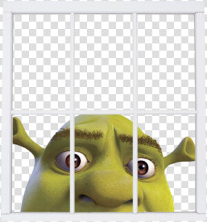 Transparent Shrek Face Download   Shrek In A Window  HD Png Download