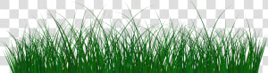 Grass Clipart Green Png   Sweet Grass  Transparent Png