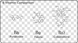 Vitamin B Comparison   Chemical Structure Of Vitamin B  HD Png Download