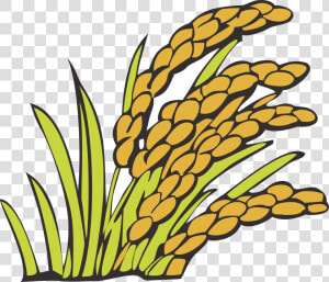 Wheat Clipart Bunga Padi   Kartun Padi Png  Transparent Png