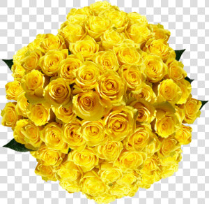 Vibrant Pure Yellow Roses   Floribunda  HD Png Download