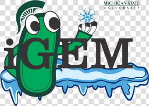 Igem Michigan State University  HD Png Download