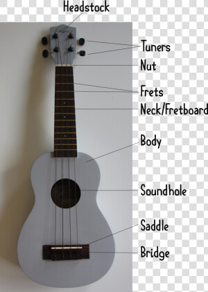 Bagian Bagian Pada Ukulele  HD Png Download