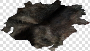 Dog Hide   Шкура Пнг  HD Png Download