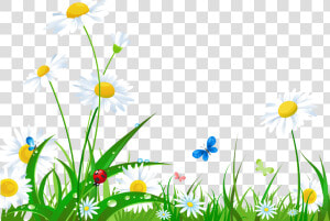 Laptop Desktop Wallpaper Flower   High Resolution Flower Grass Png Hd  Transparent Png