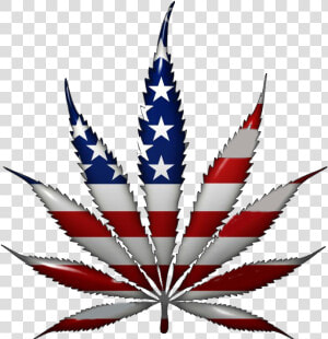 Weed Leaf  Powerful Reasons Legalize Marijuana The   Usa Marijuana Leaf  HD Png Download