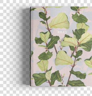 Picture Of Fiddle Leaf Fig Journal  HD Png Download