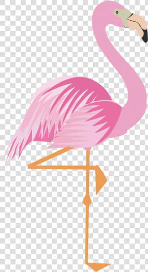 Flamingo Clipart Png   ฟ ลา มิ ง โก้ การ์ตูน  Transparent Png