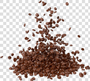 Coffee Beans Png Image   Coffee Bean Clipart Free  Transparent Png