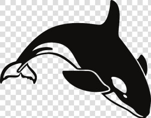 Orca Clipart Transparent   Orca Clipart Black And White  HD Png Download