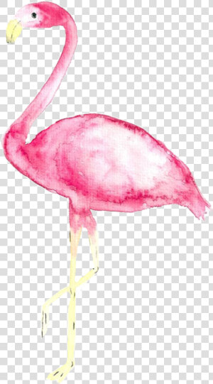  tumblr  watercolor  aquarelle  flamingo  freetoedit   Iphone Xs Max Wallpaper Flamingo  HD Png Download