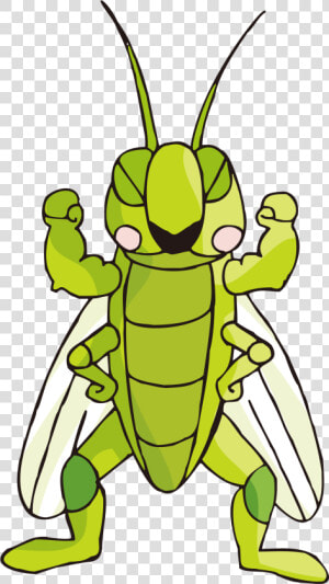 Cartoon Images Gallery For   Insect Cartoon Cricket  HD Png Download