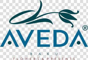 Aveda Logo Vector   Aveda  HD Png Download