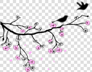  treebranch  flowers  birds  birdie  lovebirds  swirls   Illustration  HD Png Download