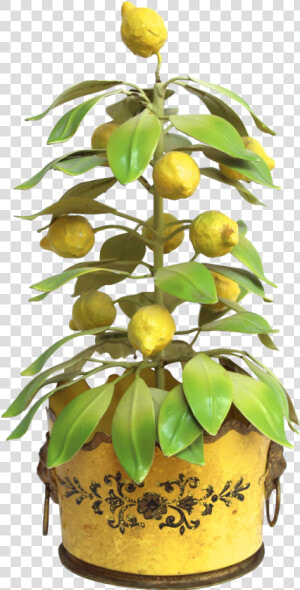 Italian Tole Lemon Tree Topiary On Chairish   Png Download   Lemon Tree Transparent  Png Download