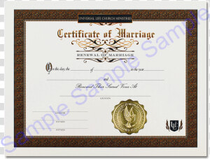 Vow Renewal Certificate   Masters Degree In Life  HD Png Download