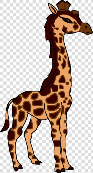 Rothschild S Giraffe   Giraffe  HD Png Download