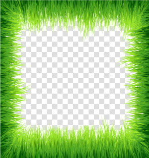  mq  green  grass  frame  frames  border  borders   Grass  HD Png Download